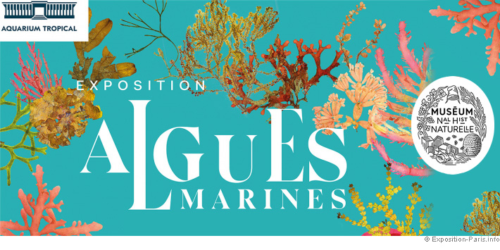 expo-paris-algues-marines-aquarium-tropical-palais-porte-doree