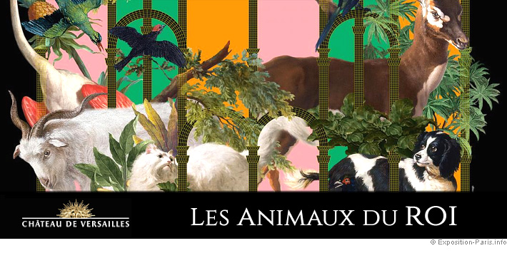 expo-paris-les-animaux-du-roi-au-chateau-de-versailles