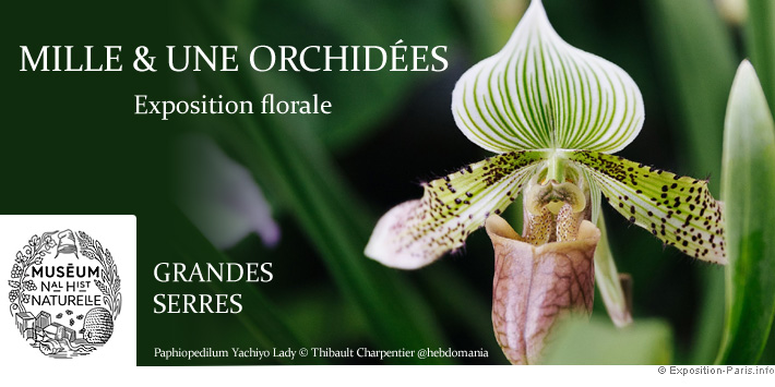 expo-paris-mille-et-une-orchidees-exposition-florale-grandes-serres-jardin-des-plantes
