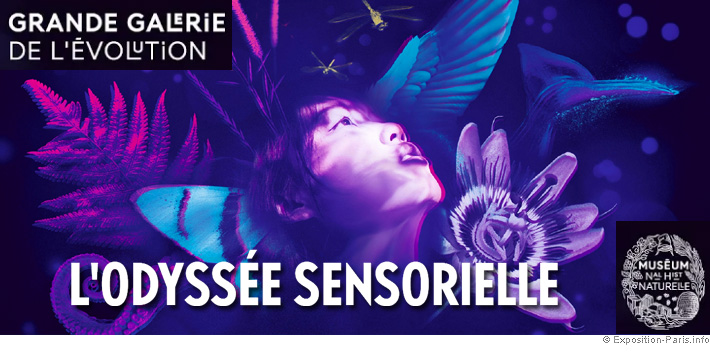 expo-paris-odyssee-sensorielle-grande-galerie-de-l-evolution-musee-histoire-naturelle
