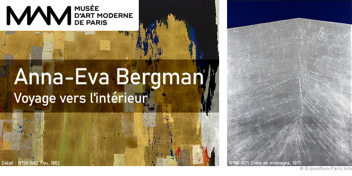 expo-peinture-paris-anna-eva-bergman-musee-art-moderne